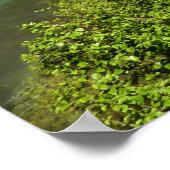 Grinnell Creek beim Glacier Nationalpark Poster (Ecke)