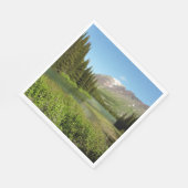 Grinnell Creek beim Glacier Nationalpark Serviette (Ecke)