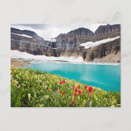 Grinnell Glacier Postkarte (Vorderseite)