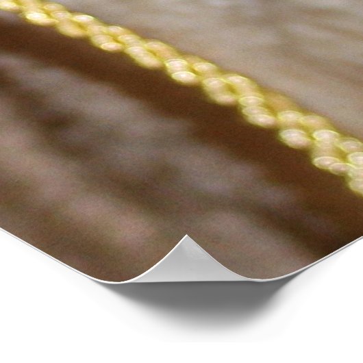 Grinning Camel Poster (Ecke)