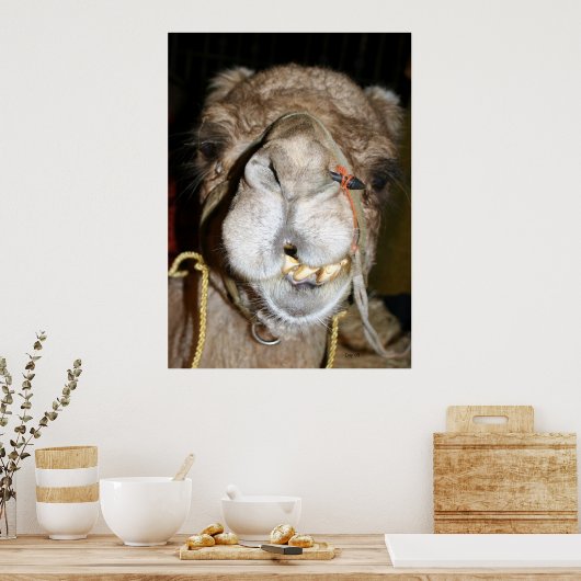 Grinning Camel Poster (Küche)