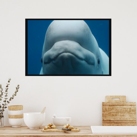 Grinning White Whale Poster (Küche)