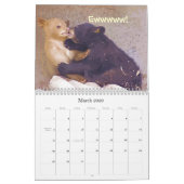 Grinsen Sie und tragen Sie es - besonders Kalender (Mär 2026)