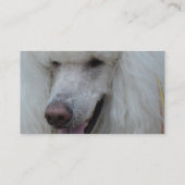 Grinsender weißer Standardpudel Visitenkarte (Rückseite)