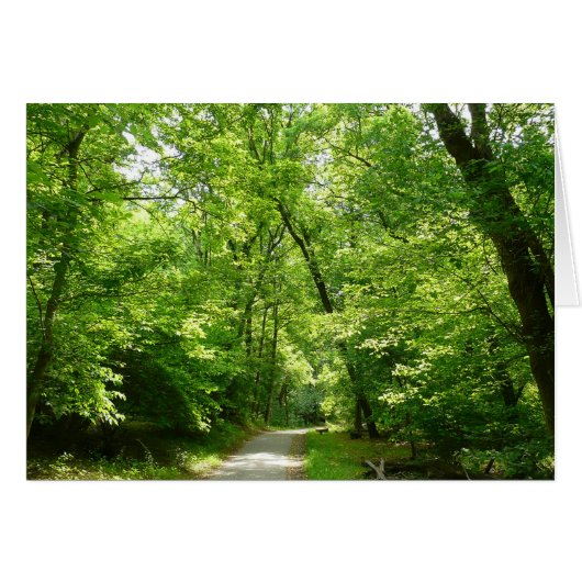 Grist Mill Trail I (Vorderseite (Horizontal))