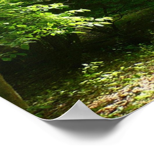 Grist Mill Trail I Poster (Ecke)