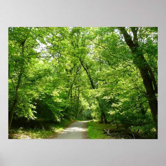 Grist Mill Trail I Poster (Vorne)