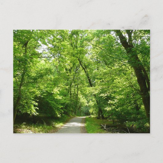 Grist Mill Trail I Postkarte (Vorderseite)