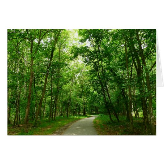 Grist Mill Trail II (Vorderseite (Horizontal))