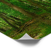 Grist Mill Trail II Poster (Ecke)