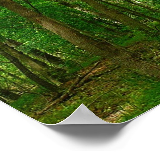 Grist Mill Trail II Poster (Ecke)