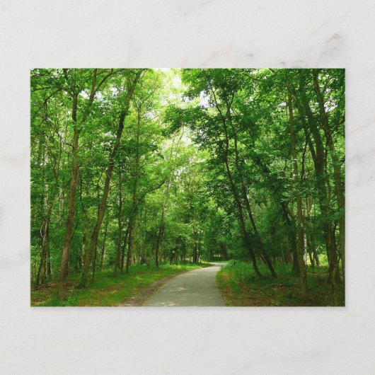 Grist Mill Trail II Postkarte (Vorderseite)