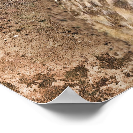 Gritty Eagle Owl Poster (Ecke)