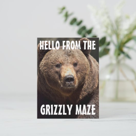 GRIZLY MAZE GRIZZLY BEAR POSTCARDS POSTKARTE (Stehend Vorderseite)
