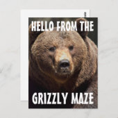 GRIZLY MAZE GRIZZLY BEAR POSTCARDS POSTKARTE (Vorne/Hinten)