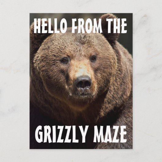 GRIZLY MAZE GRIZZLY BEAR POSTCARDS POSTKARTE (Vorderseite)