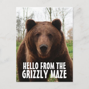 GRIZLY MAZE GRIZZLY BEAR POSTCARDS POSTKARTE