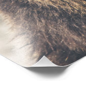 Grizzanbraun Fotodruck (Ecke)