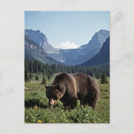 Grizzle Bear im Glacier National Park Travel Postkarte