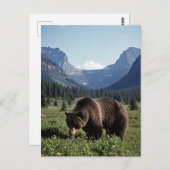 Grizzle Bear im Glacier National Park Travel Postkarte (Vorne/Hinten)