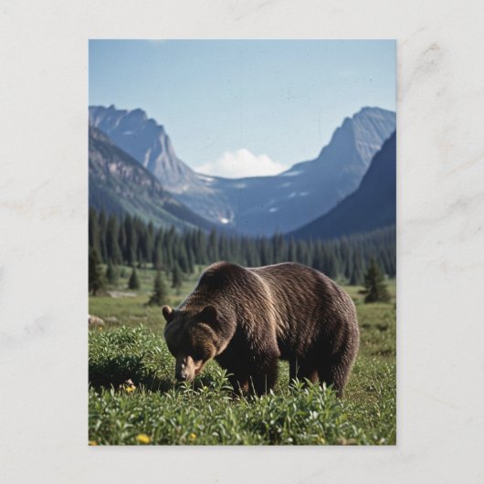 Grizzle Bear im Glacier National Park Travel Postkarte (Vorderseite)