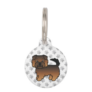 Grizzle Norfolk Terrier Hund & Haustier Info Haustiermarke