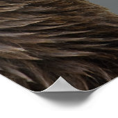 Grizzle trifft Raccoon Poster (Ecke)