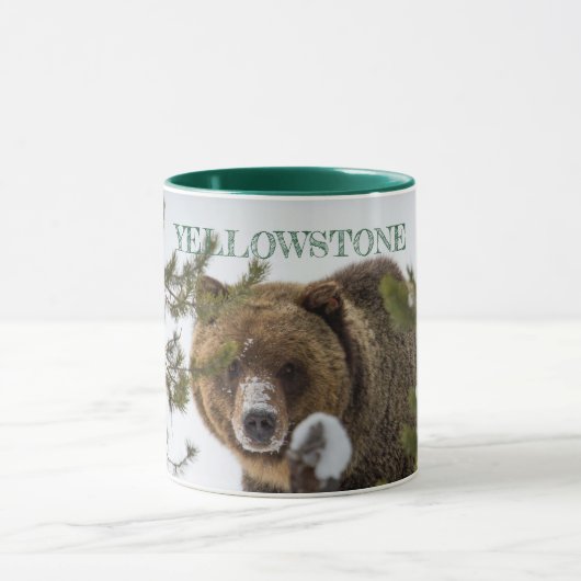 Grizzles Bären im Schnee, Yellowstone Nationalpark Tasse (Zentrum)