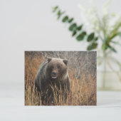 Grizzles Bären mit Blueberry Lips Postkarte (Stehend Vorderseite)
