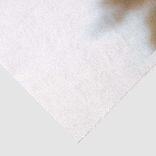 Grizzles Bären überqueren einen Fluss Decoupage Seidenpapier (Ausschnitt)