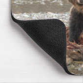 Grizzles Bären und Raven Mouse Pad Mousepad (Ecke)