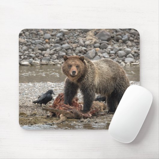 Grizzles Bären und Raven Mouse Pad Mousepad (Mit Mouse)
