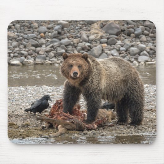 Grizzles Bären und Raven Mouse Pad Mousepad (Vorne)