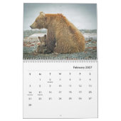 Grizzles Bears Wall Calendar Kalender (Feb 2027)