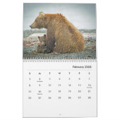 Grizzles Bears Wall Calendar Kalender (Feb 2026)