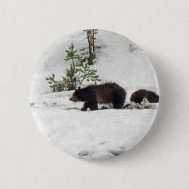 Grizzles im Schnee Button