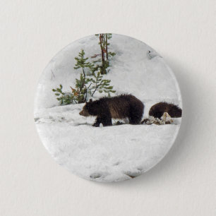 Grizzles im Schnee Button