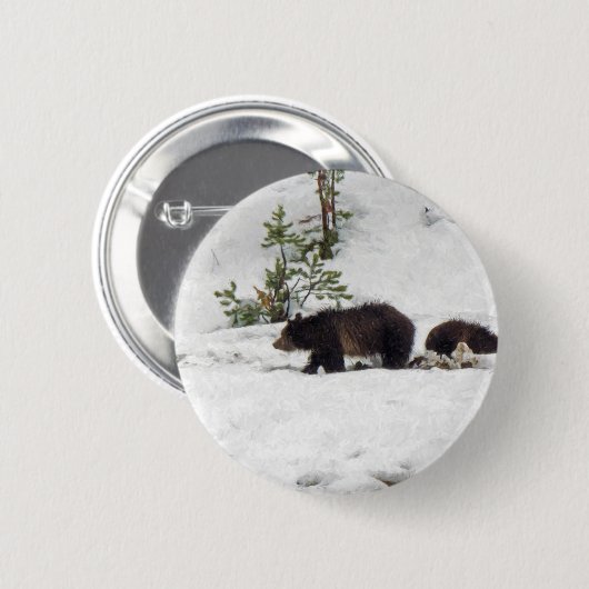 Grizzles im Schnee Button (Vorne & Hinten)