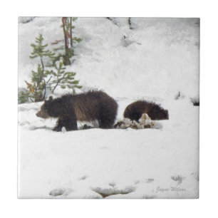 Grizzles im Schnee Fliese