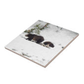 Grizzles im Schnee Fliese (Seite)