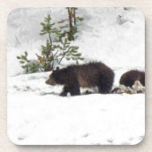 Grizzles im Schnee Getränkeuntersetzer (Vorderseite)