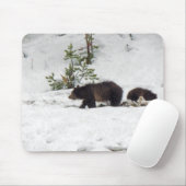 Grizzles im Schnee Mousepad (Mit Mouse)