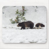 Grizzles im Schnee Mousepad (Vorne)