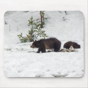 Grizzles im Schnee Mousepad