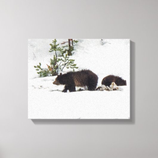 Grizzles in der schneegeätzten Leinwand (Vorderseite)
