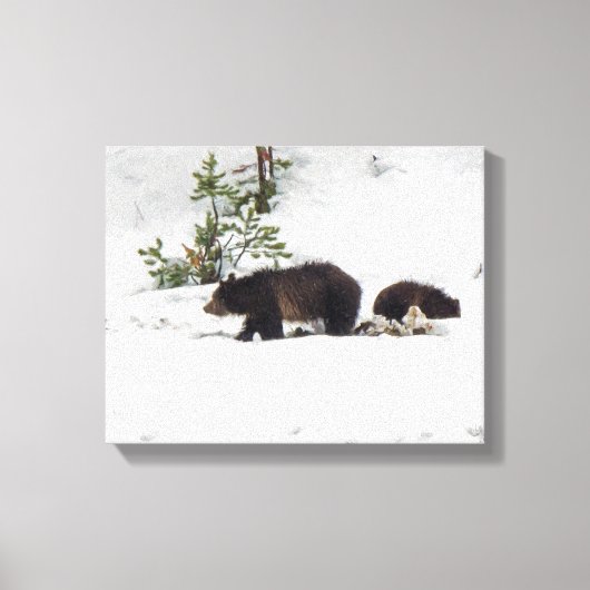 Grizzles in der schneegeätzten Leinwand (Vorderseite)