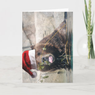 Grizzley Bär in einer Weihnachtsmannmütze Feiertagskarte