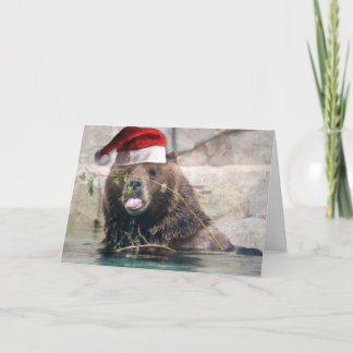 Grizzley Bear in einer Weihnachtsmannmütze Feiertagskarte
