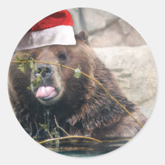 Grizzley Bear in einer Weihnachtsmannmütze Runder Aufkleber