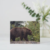 Grizzly-Bär-007 Postkarte (Stehend Vorderseite)